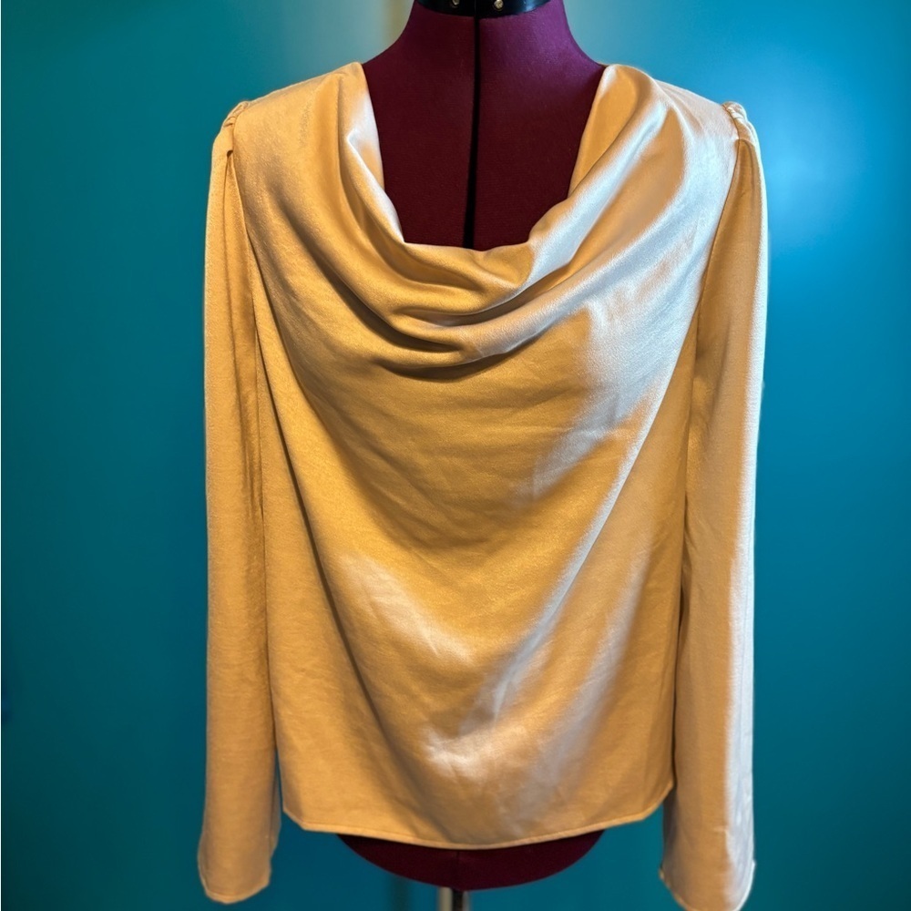 Sage Cream Cowl Neck Blouse with Asymmetrical Design